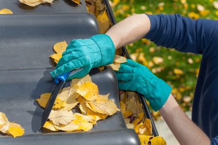 5 Exterior Maintenance Tips to Help Sell Your Home This Fall | Dockside Realty Company